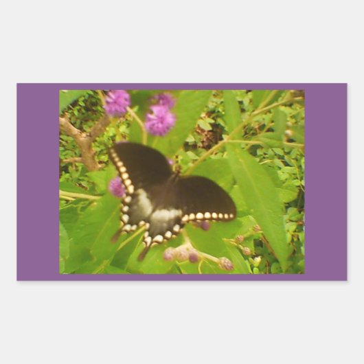 パープルラッピング ブラックモナーク 長方形シール (正面)