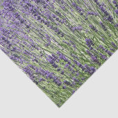 パープルラベンダーフィールドフローラ 薄葉紙 (詳細)