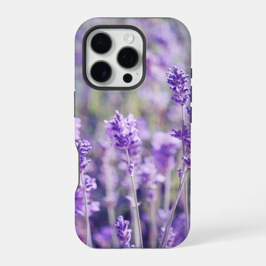 パープルラベンダー畑 iPhoneケース (裏面)