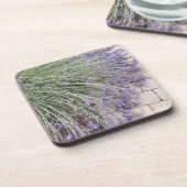 パープルラベンダー開花フローラ コースター (左側)