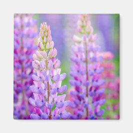 パープルルピンの花マグネット マグネット