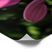 パープルレインデイジープリント ポスター (角)