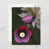 パープルレンテンバラはがき ポストカード (正面/裏面)