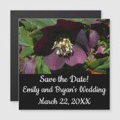 パープルレンテンバライースターフラワー (正面/裏面)