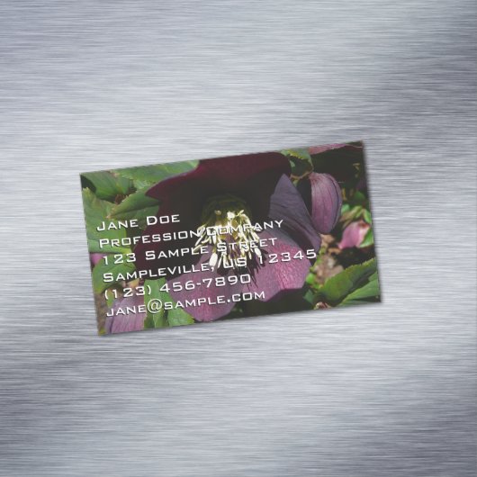 パープルレンテンバライースターフラワー マグネット名刺 (インサイチュ)