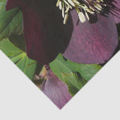 パープルレンテンバライースターフラワー 薄葉紙 (詳細)