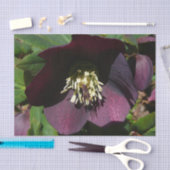 パープルレンテンバライースターフラワー 薄葉紙 (クラフト)