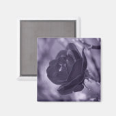 パープルローズ マグネット (正面/裏面)