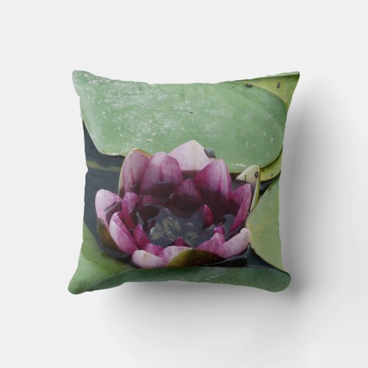 パープルロータスフォトスロークッション41cm x 41cm クッション (裏面)