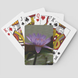 パープルロータス《植物》スイレントランプ トランプ