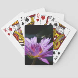 パープルロータス《植物》スイレントンフライトランプ トランプ