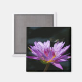 パープルロータス《植物》スイレントンフライ磁石 マグネット (正面/裏面)