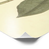 パープルロードデンドロンイラストレーション フォトプリント            (角)