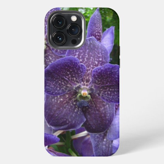 パープルヴァンダiPhone 13 Pro Maxケース iPhoneケース (裏面)