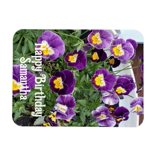 パープルヴィオラパンシーフラワーフラワーズフローラ誕生日 マグネット (横)