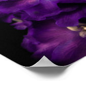 パープルヴィンテージデルフィニウム ポスター (角)