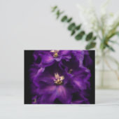 パープルヴィンテージデルフィニウム ポストカード (スタンド正面)