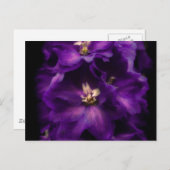 パープルヴィンテージデルフィニウム ポストカード (正面/裏面)