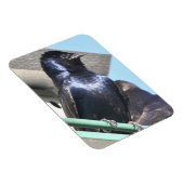 パープル威厳のあるマーチン マグネット (右側)