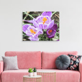 パープル春クロキュース。 キャンバスプリント (インサイチュ (リビング))