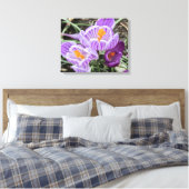 パープル春クロキュース。 キャンバスプリント (インサイチュ (寝室))
