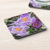 パープル春クロキュース。 コースター (左側)