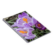 パープル春クロキュース。 ノートブック (右側)