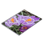 パープル春クロキュース。 ノートブック (左側)