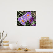 パープル春クロキュース。 ポスター (キッチン)