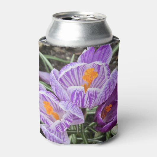 パープル春クロキュース。 缶クーラー (缶正面)