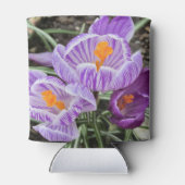 パープル春クロキュース。 缶クーラー (裏面)