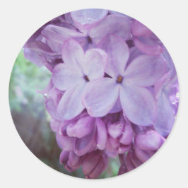 パープル春 ラウンドシール