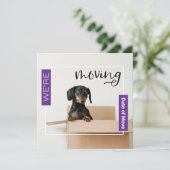 パープル私たちはDachshund Dog in Box Cardを移動している サンキューカード (スタンド正面)