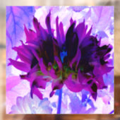 パープル素晴らしとブラックサボテンのダリア ウィンドウサイン (シート2)