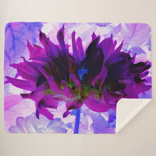 パープル素晴らしとブラックサボテンのダリア シェルパブランケット (正面(横))