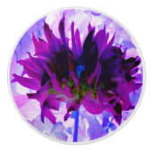 パープル素晴らしとブラックサボテンのダリア セラミックノブ (正面)