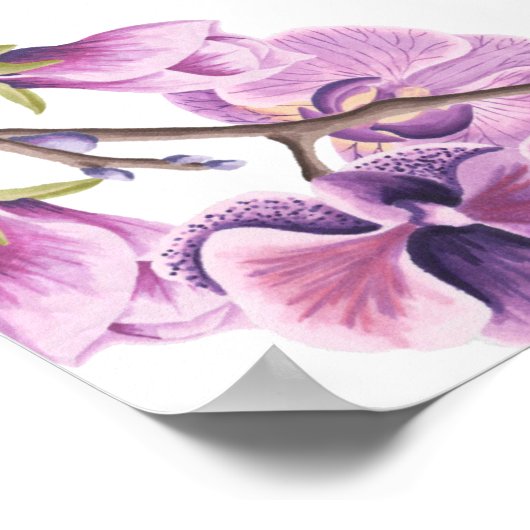 パープル結婚スイートピー独自のカスタム作成 ポスター (角)