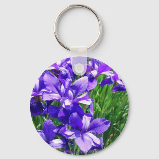 パープル美しい キーホルダー (正面)