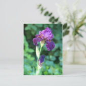 パープル美しい ポストカード (スタンド正面)