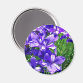 パープル美しい マグネット (正面/裏面)