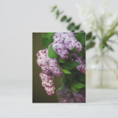 パープル薄紫絵画ブーケ ポストカード (スタンド正面)