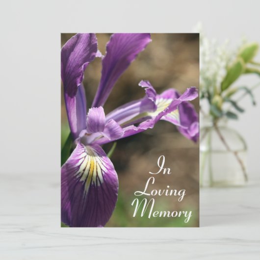 パープル·アイリス記念祭発表 招待状 (スタンド正面)