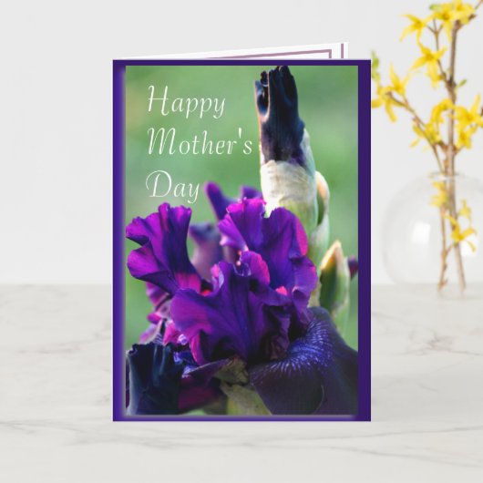 パープル・アイリス2914xc – 任意カスタマイズの大事な行事 カード (黄色い花)