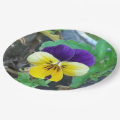 パープル&イエローパンジー ペーパープレート (アングル)
