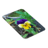 パープル&イエローパンジー マグネット (右側)