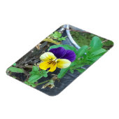 パープル&イエローパンジー マグネット (左側)