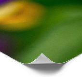 パープル&オレンジソルベットパンシーポスター ポスター (角)