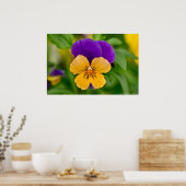 パープル&オレンジソルベットパンシーポスター ポスター (キッチン)