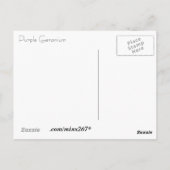 パープル ゲラニウム ポストカード (裏面)