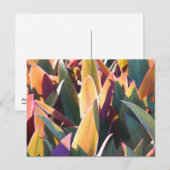 パープル&ゴールズ ポストカード (正面/裏面)